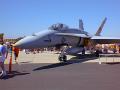 TN_hornet.jpg 2.7K