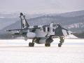 TN_jaguar_02.jpg 2.5K