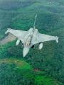 TN_rafale_04.jpg 3.0K