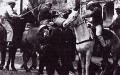 TN_MontgomeryDemonstratorsBeaten650317.jpg