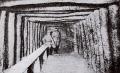 TN_FrenchProtectedTrenchWWI.jpg 3.4K