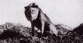 TN_BritishDogInGasMaskWWI.jpg 2.5K