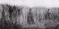 TN_FrenchSoldiersInVardarRiverMarshGreece1916.jpg 2.7K