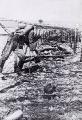 TN_RussianSoldierFelledOnBarbedWire1917.jpg 3.8K