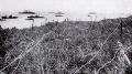 TN_TurkishBarbedWireAtopAGallipoliCliff191504.jpg 3.0K