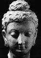 TN_Gandhara_Buddha_with_Apollo's_head_200_BCE_jk.jpg 3.4K