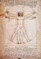 TN_Da_Vinci's_Man_according_to_Vitruvius_jk.jpg 3.1K