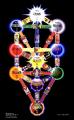 TN_TreeOfLife(BOTA).jpg