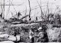TN_ItalianTrenchOnPiaveRiver1917.jpg 4.1K