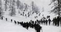 TN_ItalianTroopsOnSkis1915.jpg 2.7K