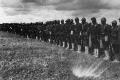 TN_Afro-American369thRegimentStandOnParadeWWI.jpg