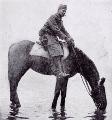 TN_FirstWWIAmericanHorseToDrinkFromTheRhine.jpg 3.6K